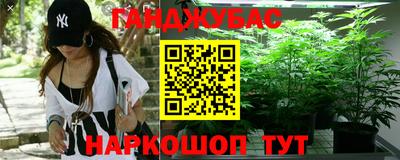 кокс Кингисепп