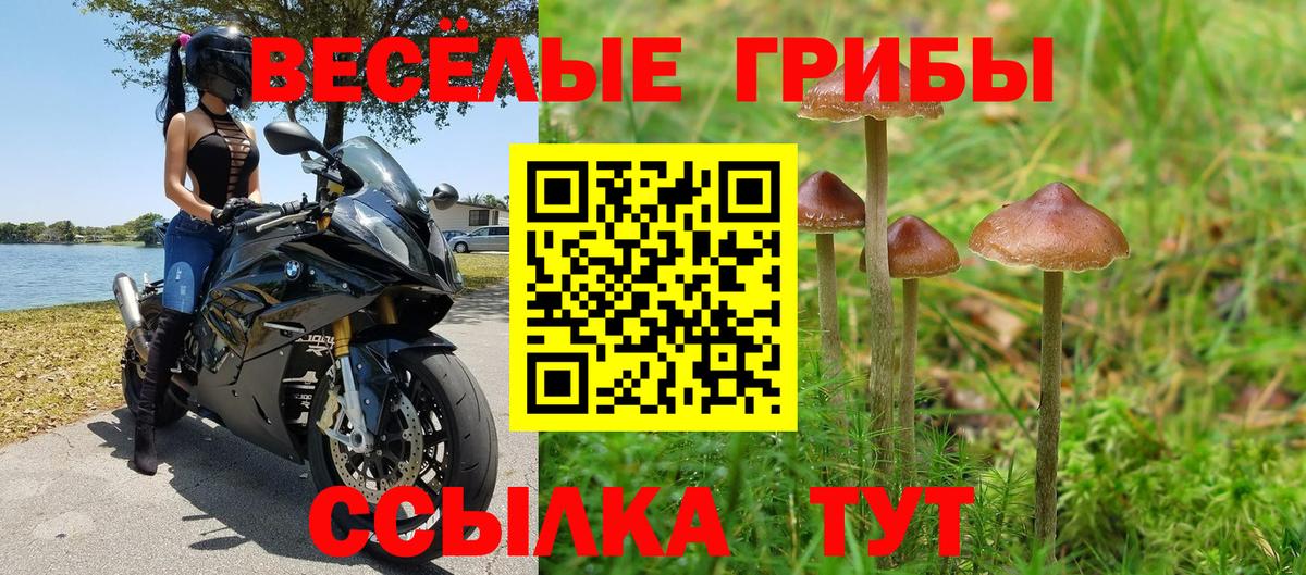 Кушва  где найти   Вход с VPN  Галлюциногенные грибы GOLDEN TEACHER 